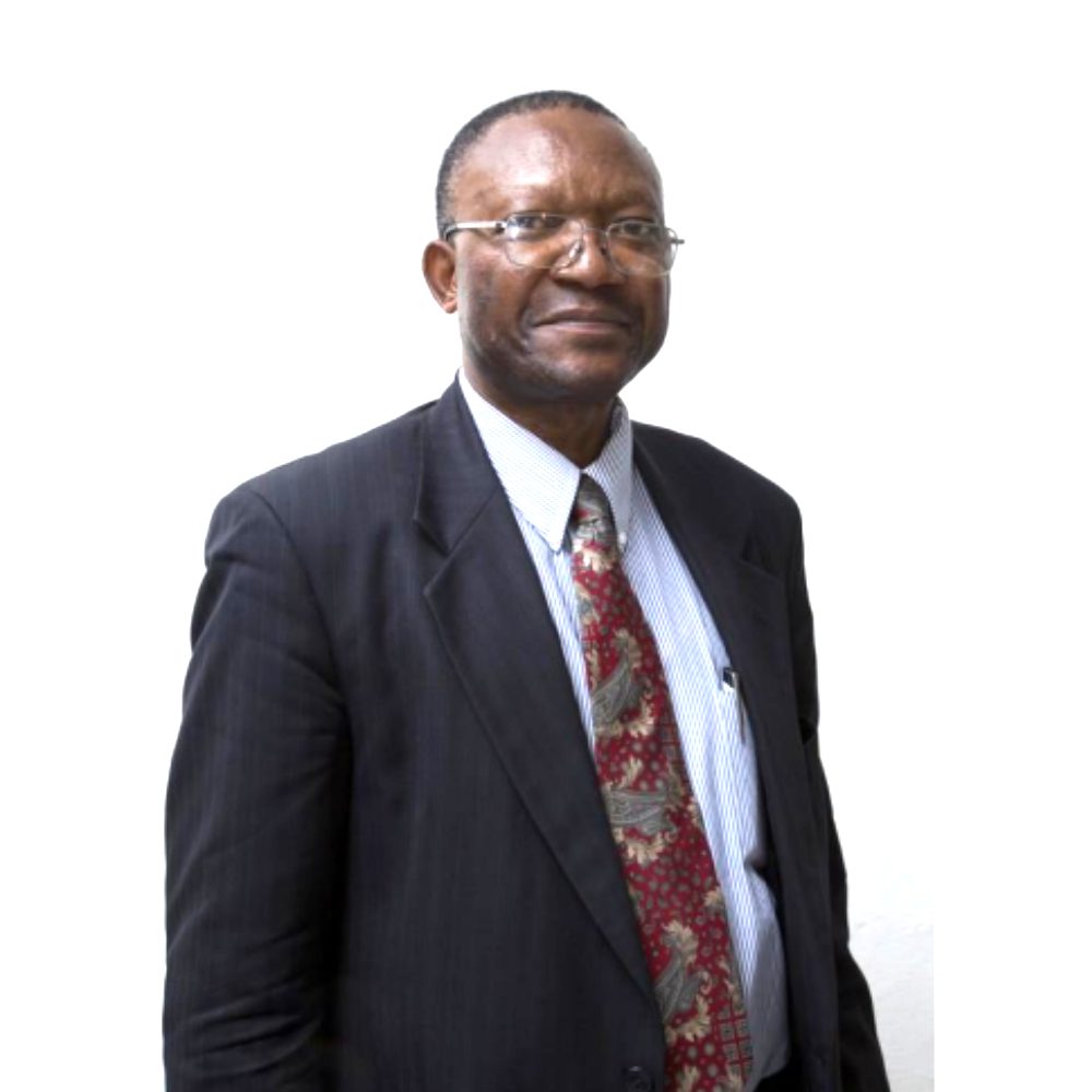 Prof. Martin Nkafu Nkemnkia